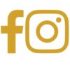 social media management